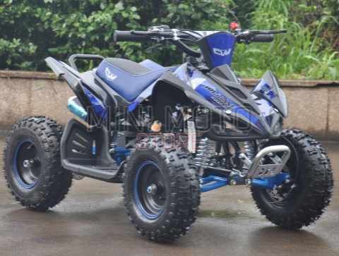 cvm guazzoni miniquad 