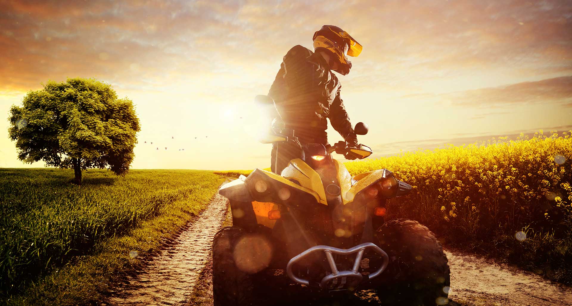 azienda swm e cf moto perugia
